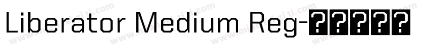 Liberator Medium Reg字体转换
